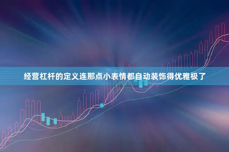 经营杠杆的定义连那点小表情都自动装饰得优雅极了