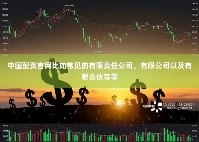 中国配资官网比如常见的有限责任公司、有限公司以及有限合伙等等