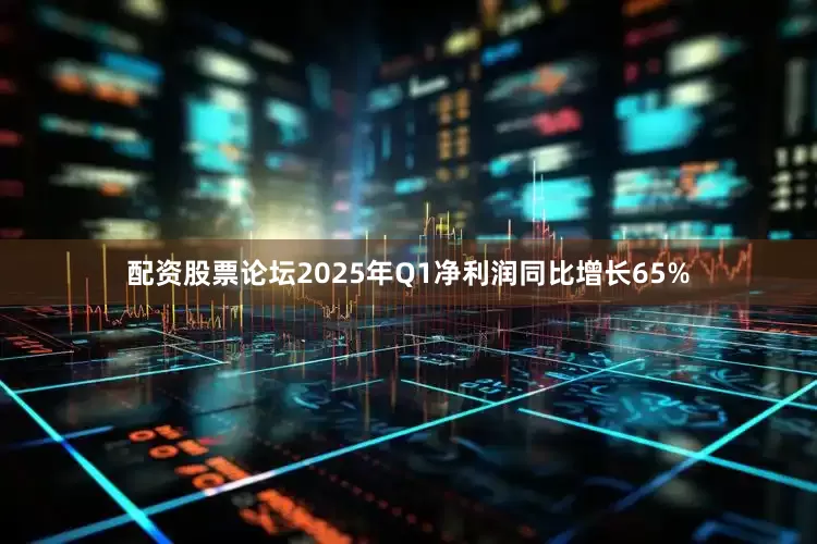 配资股票论坛2025年Q1净利润同比增长65%