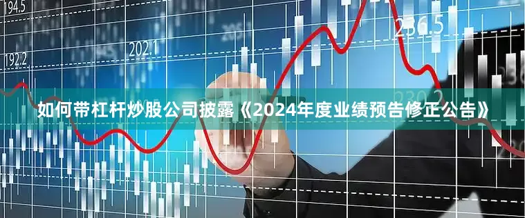 如何带杠杆炒股公司披露《2024年度业绩预告修正公告》