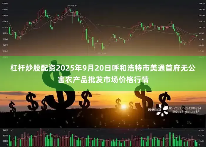 杠杆炒股配资2025年9月20日呼和浩特市美通首府无公害农产品批发市场价格行情