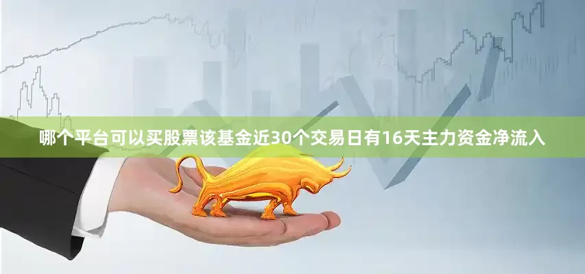 哪个平台可以买股票该基金近30个交易日有16天主力资金净流入